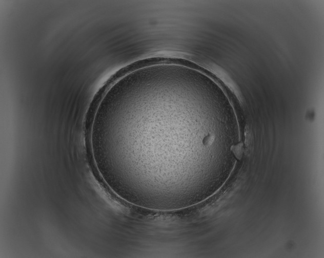 X0000093450972200710191059