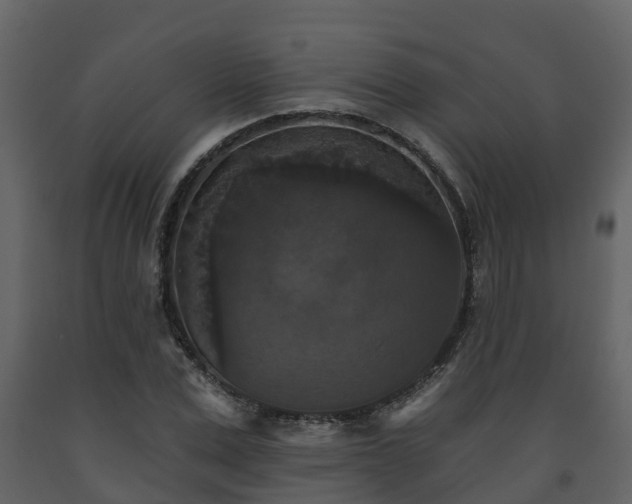 X0000093450975200710191059