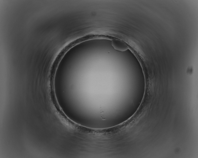 X0000093450976200710191059