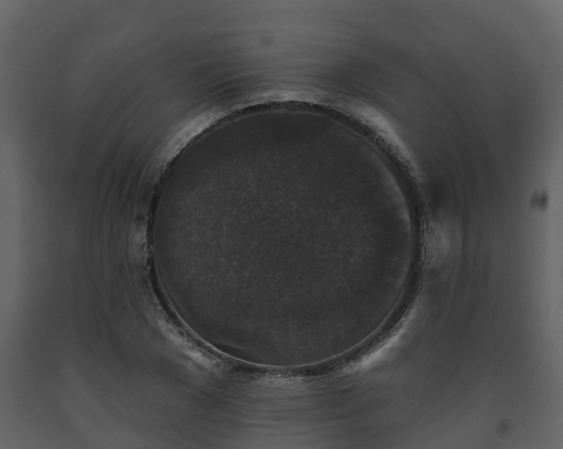 X0000093450977200710191059