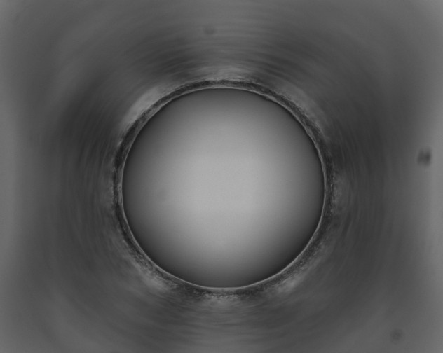 X0000093450978200710191059