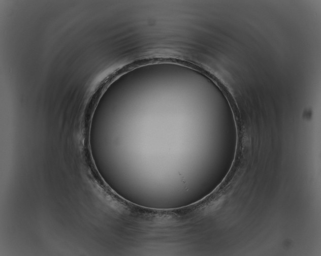 X0000093450979200710191059