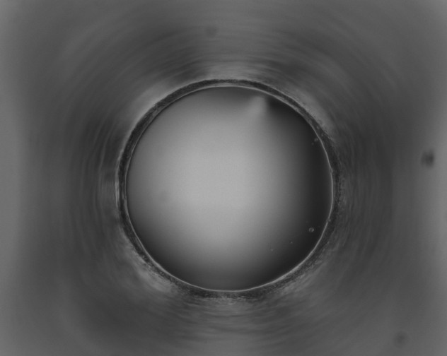 X0000093450980200710191059