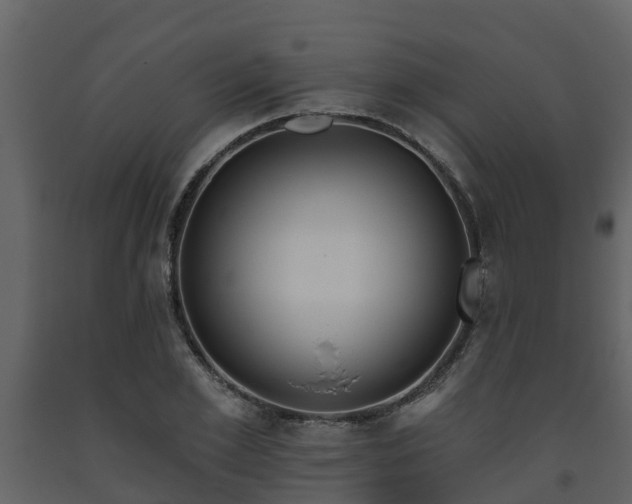 X0000093450981200710191059