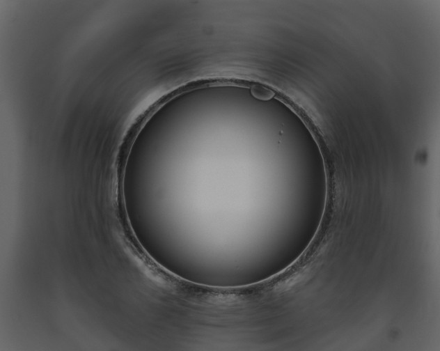 X0000093450982200710191059