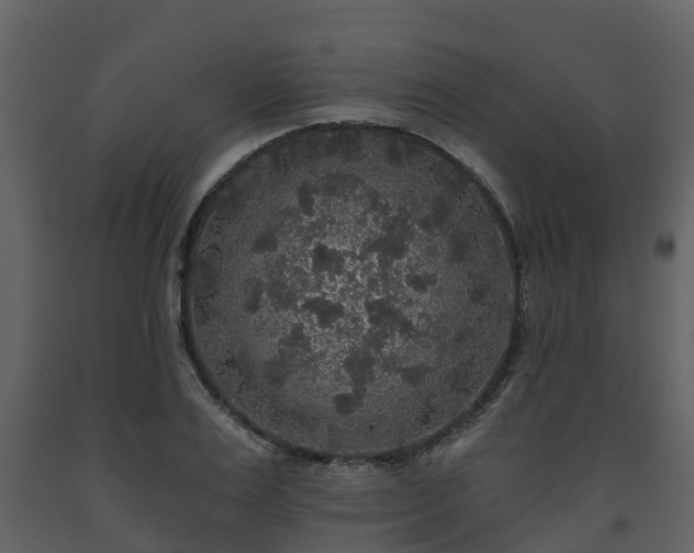 X0000093450983200710191059