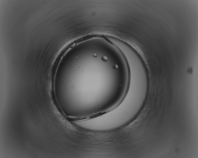 X0000093450984200710191059