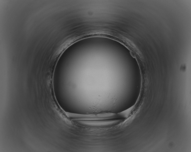 X0000093450985200710191059