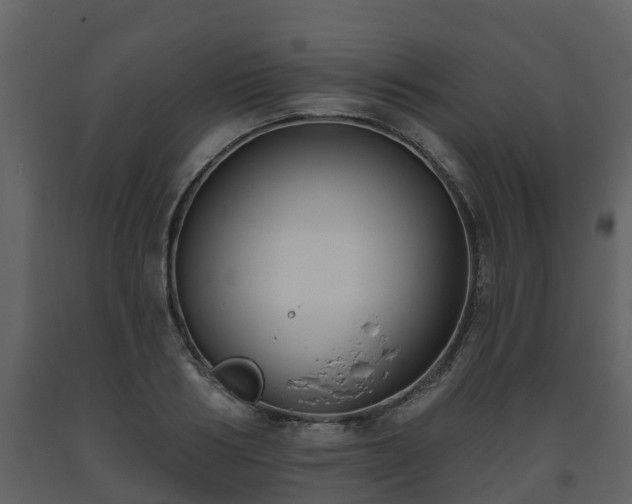 X0000093450986200710191059