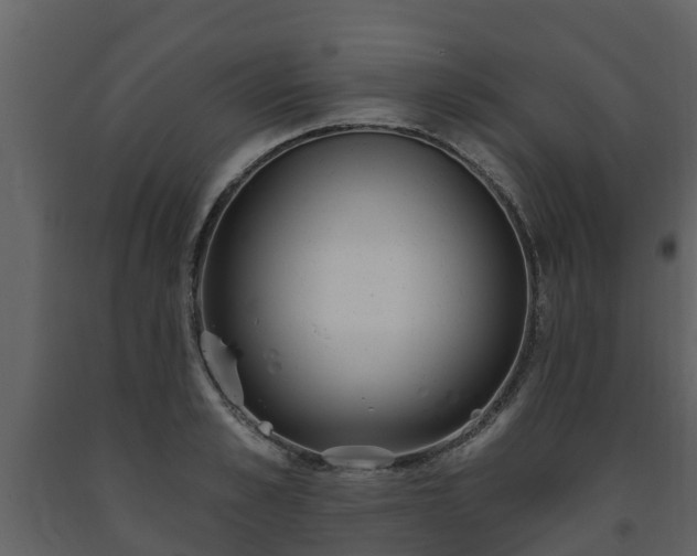 X0000093450989200710191059