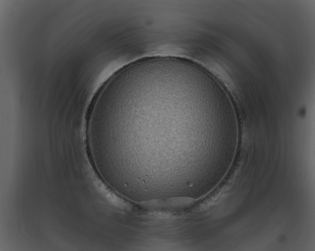 X0000093450990200710191059