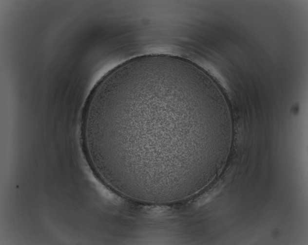 X0000093450991200710191059