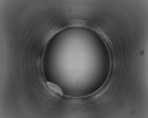 X0000093450993200710191059