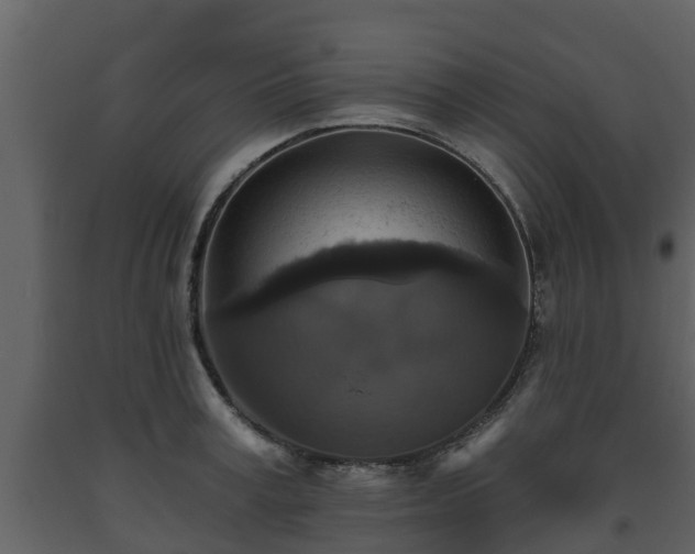 X0000093450995200710191059