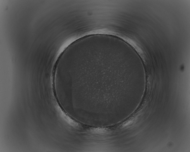 X0000093450998200710191059