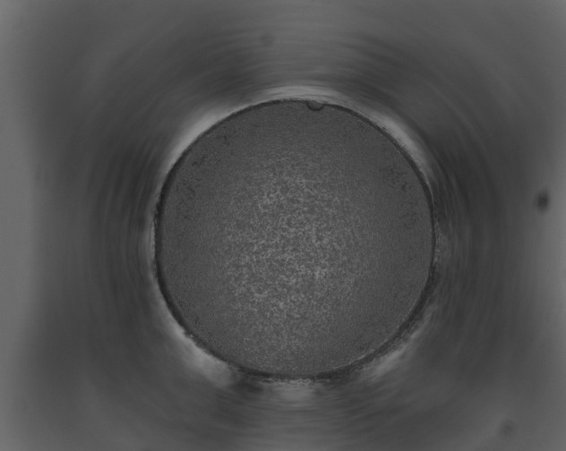 X0000093450999200710191059