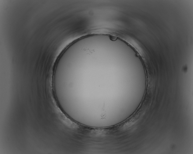 X0000093451000200710191059