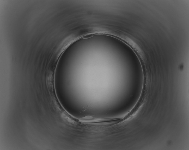 X0000093451001200710191059