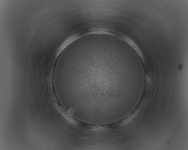 X0000093451002200710191059