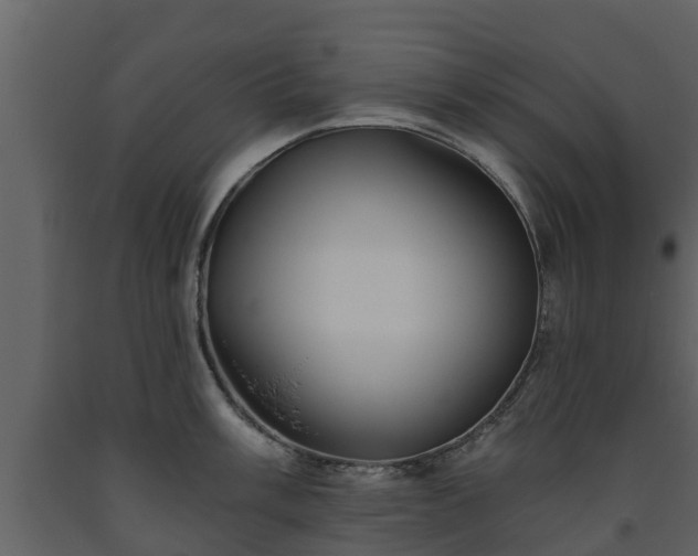 X0000093451003200710191059