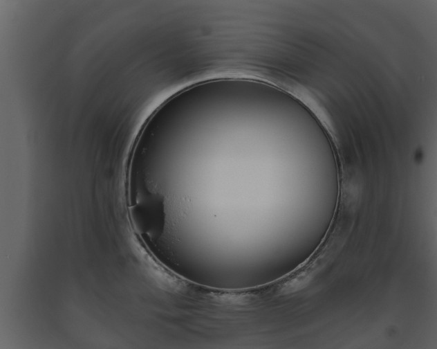 X0000093451004200710191059