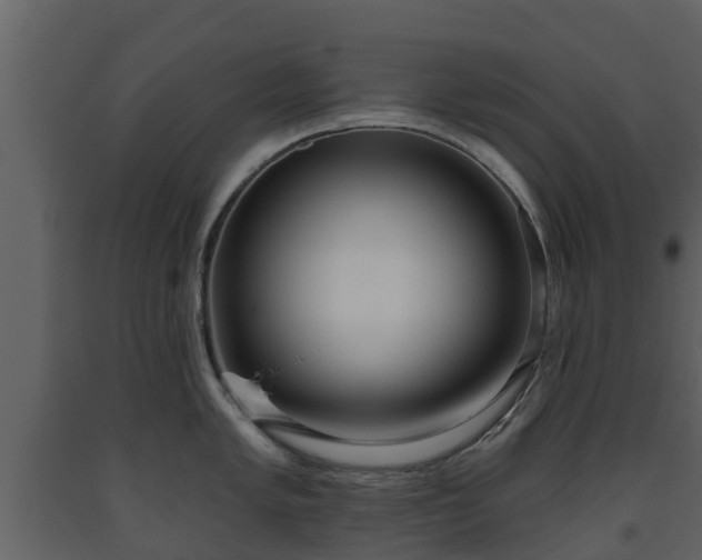 X0000093451005200710191059