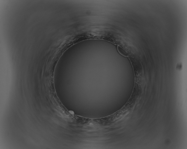 X0000093451009200710191058