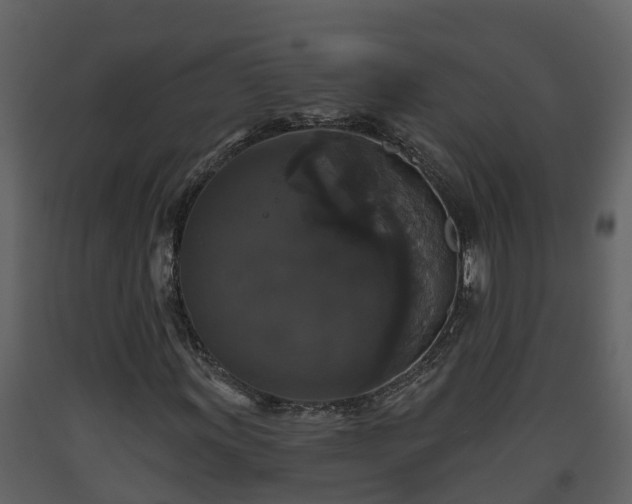 X0000093451011200710191058