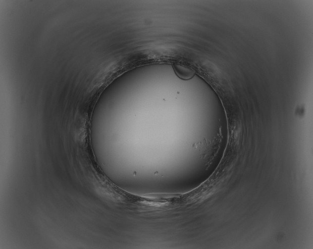 X0000093451012200710191058