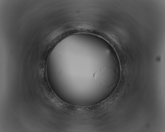 X0000093451015200710191058