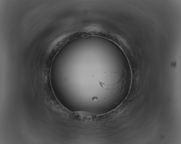 X0000093451016200710191058