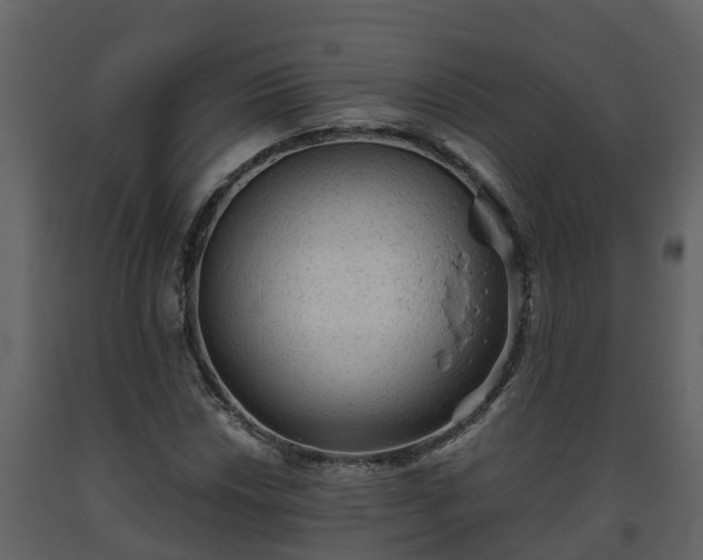 X0000093451018200710191058