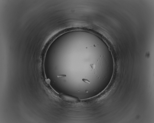 X0000093451021200710191058