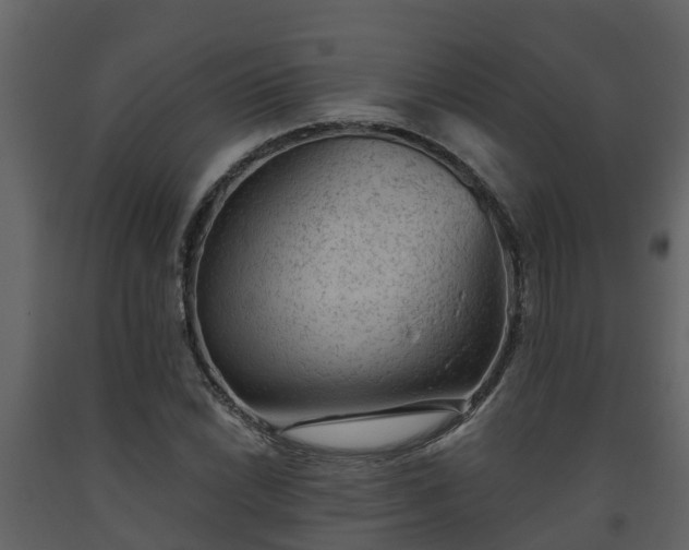 X0000093451022200710191058