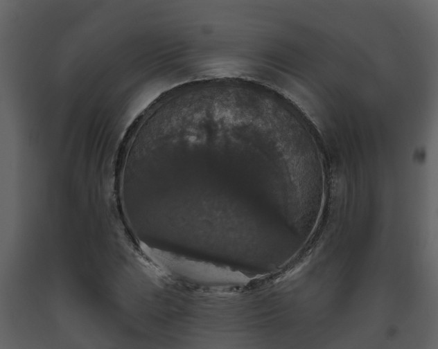 X0000093451023200710191058