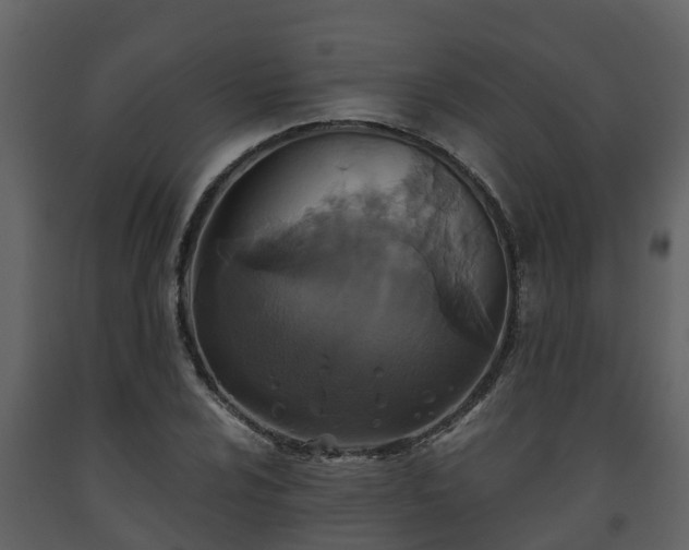 X0000093451024200710191058