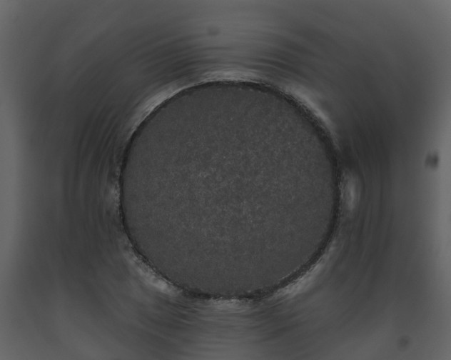 X0000093451025200710191058