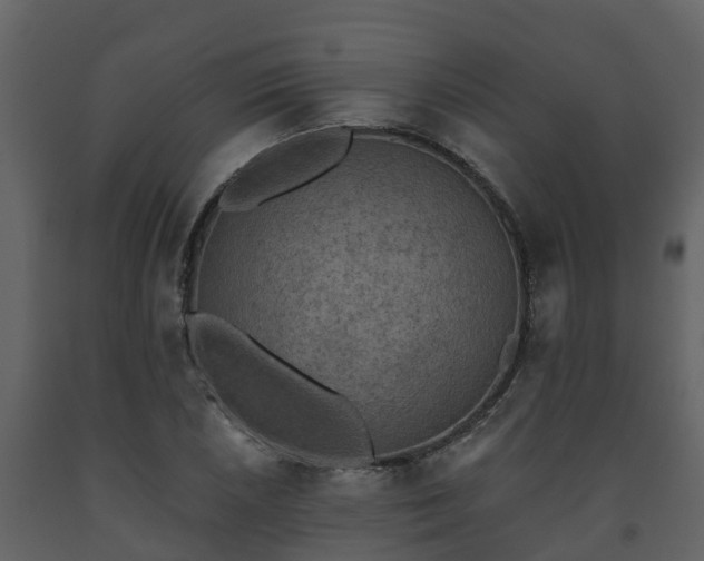 X0000093451026200710191058