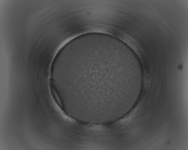 X0000093451028200710191058