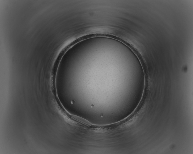 X0000093451029200710191058