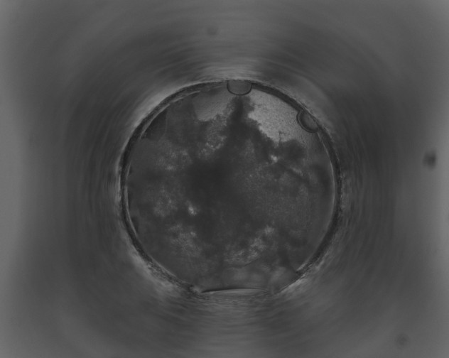 X0000093451031200710191058