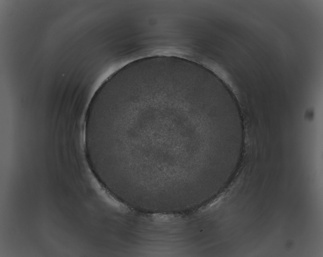 X0000093451032200710191058