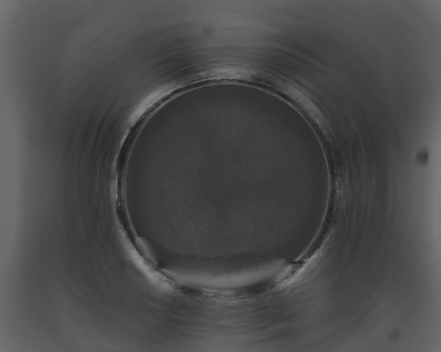 X0000093451034200710191058