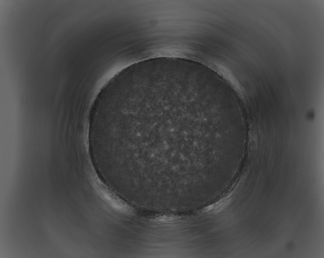 X0000093451035200710191058