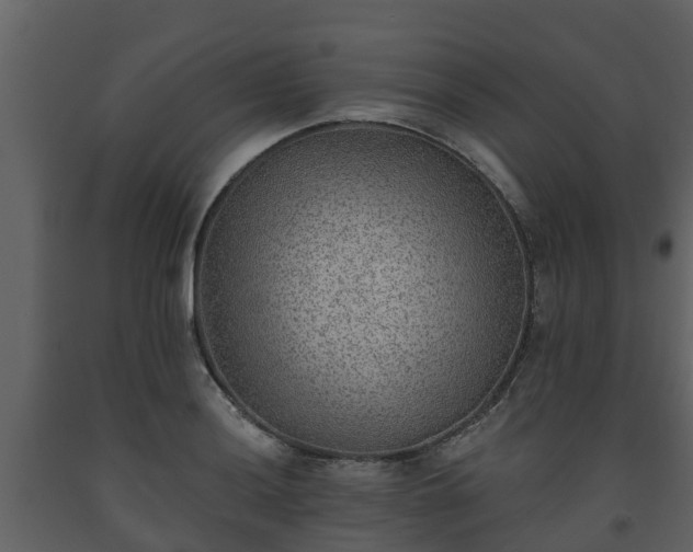 X0000093451036200710191058