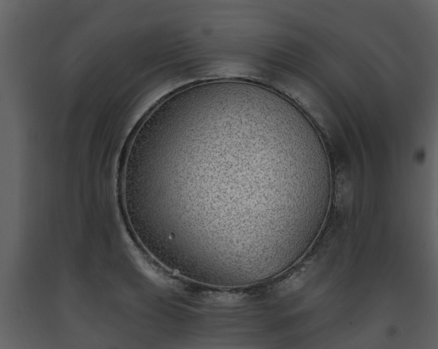 X0000093451039200710191058