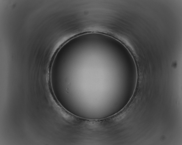 X0000093451040200710191058