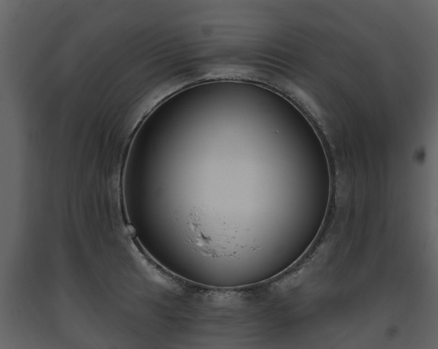 X0000093451041200710191058