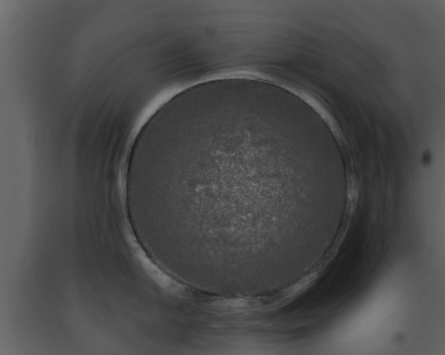 X0000093451054200710191059