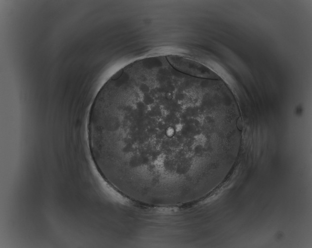 X0000093451055200710191059